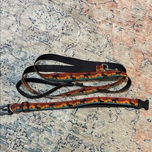 NWOT - Lupine Pets Moose on the loose Adjustable Dog collar and leash